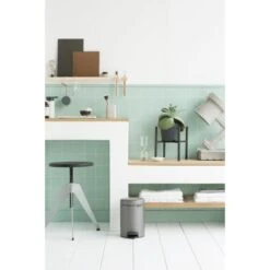 Pedaalemmer NewIcon BRABANTIA - 3 Liter Platinum -Tuinonderhoud Buiten 1608034466 3 600