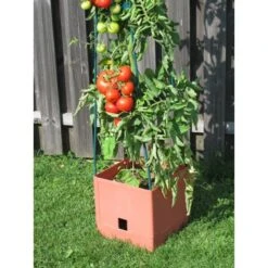 Plantentoren Maxitom Met Waterreservoir - Terracotta -Tuinonderhoud Buiten 1677510667 3 600