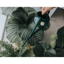 Haws Kamerplantengieter The Fazeley Flow 1 L - Groen -Tuinonderhoud Buiten 1686734925 3 600