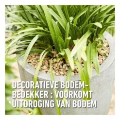 Compo Bio Granuplant Puimsteenkorrels - 25 L -Tuinonderhoud Buiten 1740472762 5 600