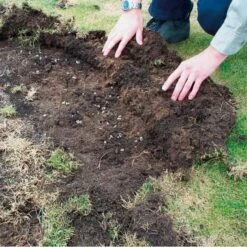 DCM Heteri-Guard - Aaltjes Tegen Engerlingen In Gazon - Voor 10 M² -Tuinonderhoud Buiten aaltjes tegen engerlingen 10 m 1664370204 2 600