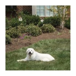 Pet Safe Outdoor Anti-blafhuisje -Tuinonderhoud Buiten antiblafhuisje 1484054468 4 600