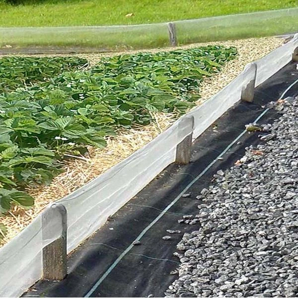 Anti-slakkenscherm 1 Anti-slakkenscherm