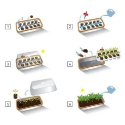 Binnenkas BoQube Plus Met Groelicht - 41 × 17 × 23 Cm -Tuinonderhoud Buiten binnenkas boqube plus 41x17x23 cm 1653470738 1 600