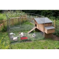 Buis Voor Fruitkooi/beschermkooi - 122 Cm Aluminium 7 Buis Voor Fruitkooi/beschermkooi - 122 Cm Aluminium -Tuinonderhoud Buiten buis fruitkooi 122 cm aluminium 1517231624 3 600