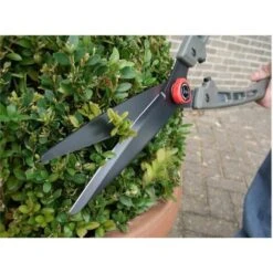 Buxusschaar Saboten 1550 - Professioneel -Tuinonderhoud Buiten buxusschaar pro saboten 1550 1603887694 3 600