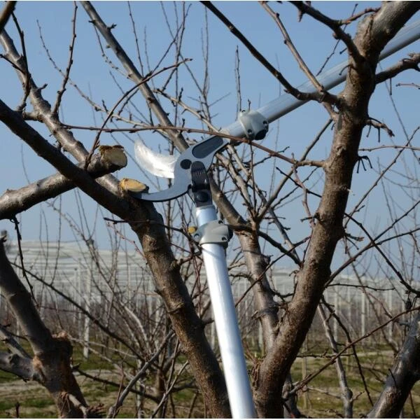 Bypass Takkenschaar Felco 220 - 80 Cm 2 Bypass Takkenschaar Felco 220 - 80 Cm - Afbeelding 2