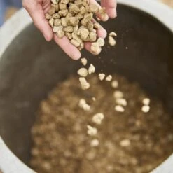 Compo Bio Granuplant Puimsteenkorrels - 40 L 8 Compo Bio Granuplant Puimsteenkorrels - 40 L -Tuinonderhoud Buiten compo bio granuplant 40 l 1709199298 2 600