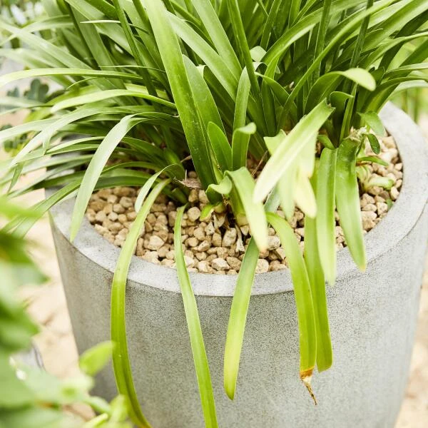 Compo Bio Granuplant Puimsteenkorrels - 40 L 5 Compo Bio Granuplant Puimsteenkorrels - 40 L - Afbeelding 5