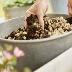 Compo Bio Granuplant Puimsteenkorrels - 40 L 11 Compo Bio Granuplant Puimsteenkorrels - 40 L -Tuinonderhoud Buiten compo bio granuplant 40 l 1709199299 5 600