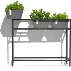 ECOPOTS Berlin Kruidentafel - Grijs 100 X 80 X 36 Cm -Tuinonderhoud Buiten ecopots berlin kruidentafel grijs 1600852112 2 600