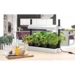 Tuinonderhoud Buiten -Tuinonderhoud Buiten groeilicht met kweekset wit 1484067835 1 600