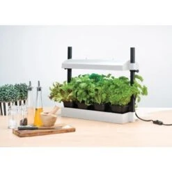 Groeilicht Met Kweekset - Wit