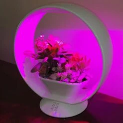 Mini Tuin Jardin Secret Met Verlichting En Bluetooth - Rond -Tuinonderhoud Buiten jardin secret met bluetooth rond 1602065218 3 600