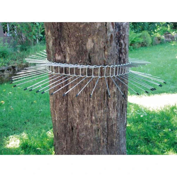 Kattenafweergordel Tot Boomomtrek 70 Cm 1 Kattenafweergordel Tot Boomomtrek 70 Cm