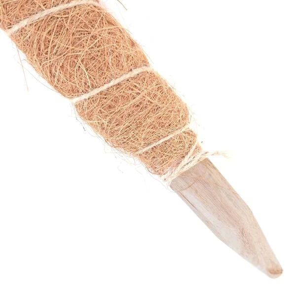 Kokos Kamerplantensteun - Plantstok Ø45 Mm × 1,2 M 2 Kokos Kamerplantensteun - Plantstok Ø45 Mm × 1,2 M - Afbeelding 2