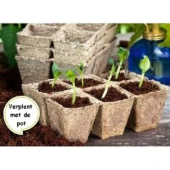 Vezelpotjes Vierkant Biologisch Afbreekbaar - 6 × 6 Cm - Set Van 24 Stuks -Tuinonderhoud Buiten kokos potjes vierkant 6 cm 1519297688 1 600