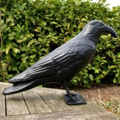 Duivenverjager Kraai Roepend -Tuinonderhoud Buiten kraai met geluid 1523289337 4 600