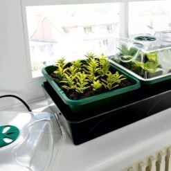 Tuinonderhoud Buiten -Tuinonderhoud Buiten kweekset elektisch en thermostaat 1674134965 1 600