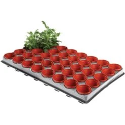 Tray Met 40 Kweekpotjes 6 Cm -Tuinonderhoud Buiten kweektray 40 potjes 6 cm 1599819541 1 600
