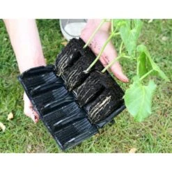 Kweektray Deep Roots - 32 Cellen -Tuinonderhoud Buiten kweektray deep roots 32 cellen 1521400145 1 600