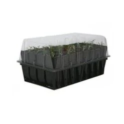 Kweektray Rapid Roots - 32 Cellen 9 Kweektray Rapid Roots - 32 Cellen -Tuinonderhoud Buiten kweektray rapid roots 32 cellen 1521399839 2 600