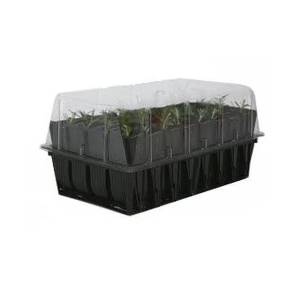 Kweektray Rapid Roots - 32 Cellen 5 Kweektray Rapid Roots - 32 Cellen - Afbeelding 5
