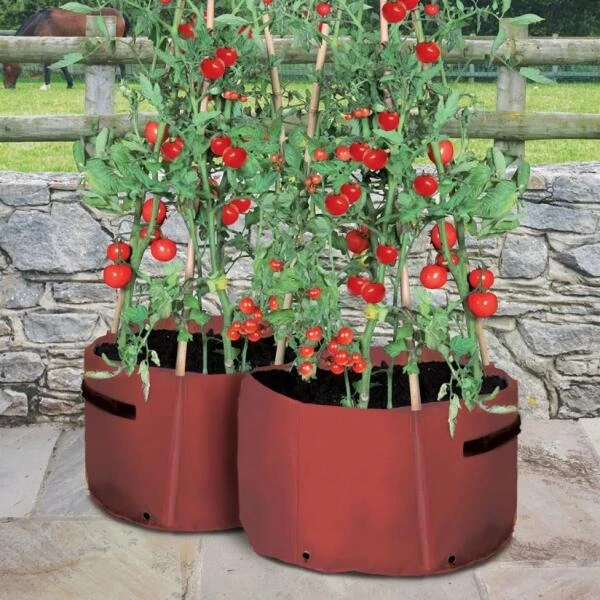 Kweekzak Tomaten 40 Liter - Set Van 2 Stuks 1 Kweekzak Tomaten 40 Liter - Set Van 2 Stuks