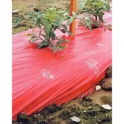 Rode Folie Voor Een Betere Plantengroei -Tuinonderhoud Buiten mulchfolie 1577621345 1 600