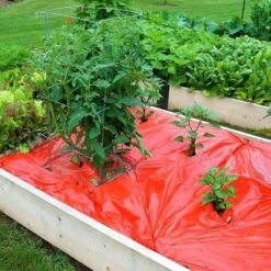 Rode Folie Voor Een Betere Plantengroei -Tuinonderhoud Buiten mulchfolie 1577621986 1 600