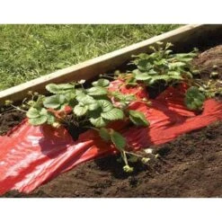 Rode Folie Voor Een Betere Plantengroei -Tuinonderhoud Buiten mulchfolie rood aardbeien en tomaten 1492072043 1 600
