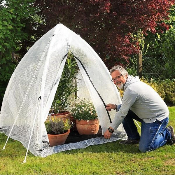 Overwinteringskas M - 130 × 130 × 150 Cm 2 Overwinteringskas M - 130 × 130 × 150 Cm - Afbeelding 2