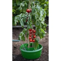 Plant- En Gietpot Groen - Set Van 3 Stuks -Tuinonderhoud Buiten plant en gietpot 1484054799 4 600