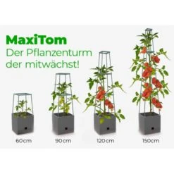 Plantentoren Maxitom Met Waterreservoir - Antraciet -Tuinonderhoud Buiten plantentoren maxitom antraciet 1677571236 4 600