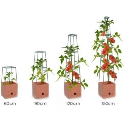 Plantentoren Maxitom Met Waterreservoir - Terracotta -Tuinonderhoud Buiten plantentoren maxitom terracotta 1680165024 1 600