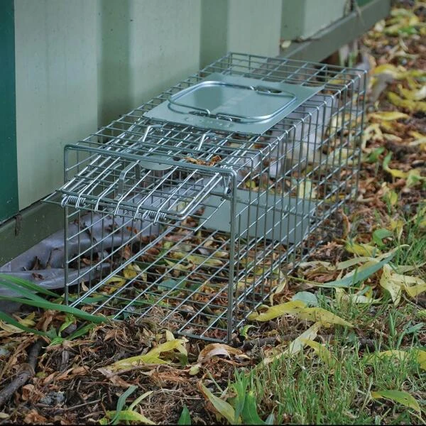 Professionele Vangkooi Voor Konijnen, Marters, Wilde Katten,...- Medium 2 Professionele Vangkooi Voor Konijnen, Marters, Wilde Katten,...- Medium - Afbeelding 2