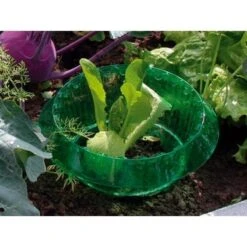 Slakken Beschermringen - Set Van 6 Stuks -Tuinonderhoud Buiten slakken beschermingsringen 1484053655 3 600