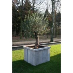 Thermobeschermhoes Jumbo Voor Planten - 240 × 200 Cm -Tuinonderhoud Buiten thermovorsthoes 240 x 200cm 1484053216 3 600