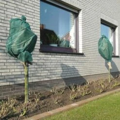 Rozen Winterhoezen - Groen - Set Van 2 Stuks -Tuinonderhoud Buiten winterhoes rozen groen 1484054071 3 600